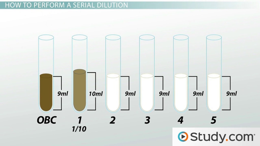 bacterial serial dilution method